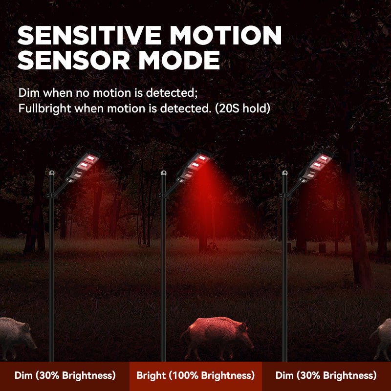 Langy Solar Red Light for Hog & Predator Hunting | Langy Solar Lights | Outdoor Hunting