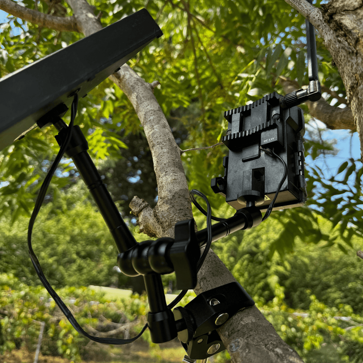 Tri-Claw Trail Camera & Solar Panel Clamp Mount | ShopThermalOptics | Accessories