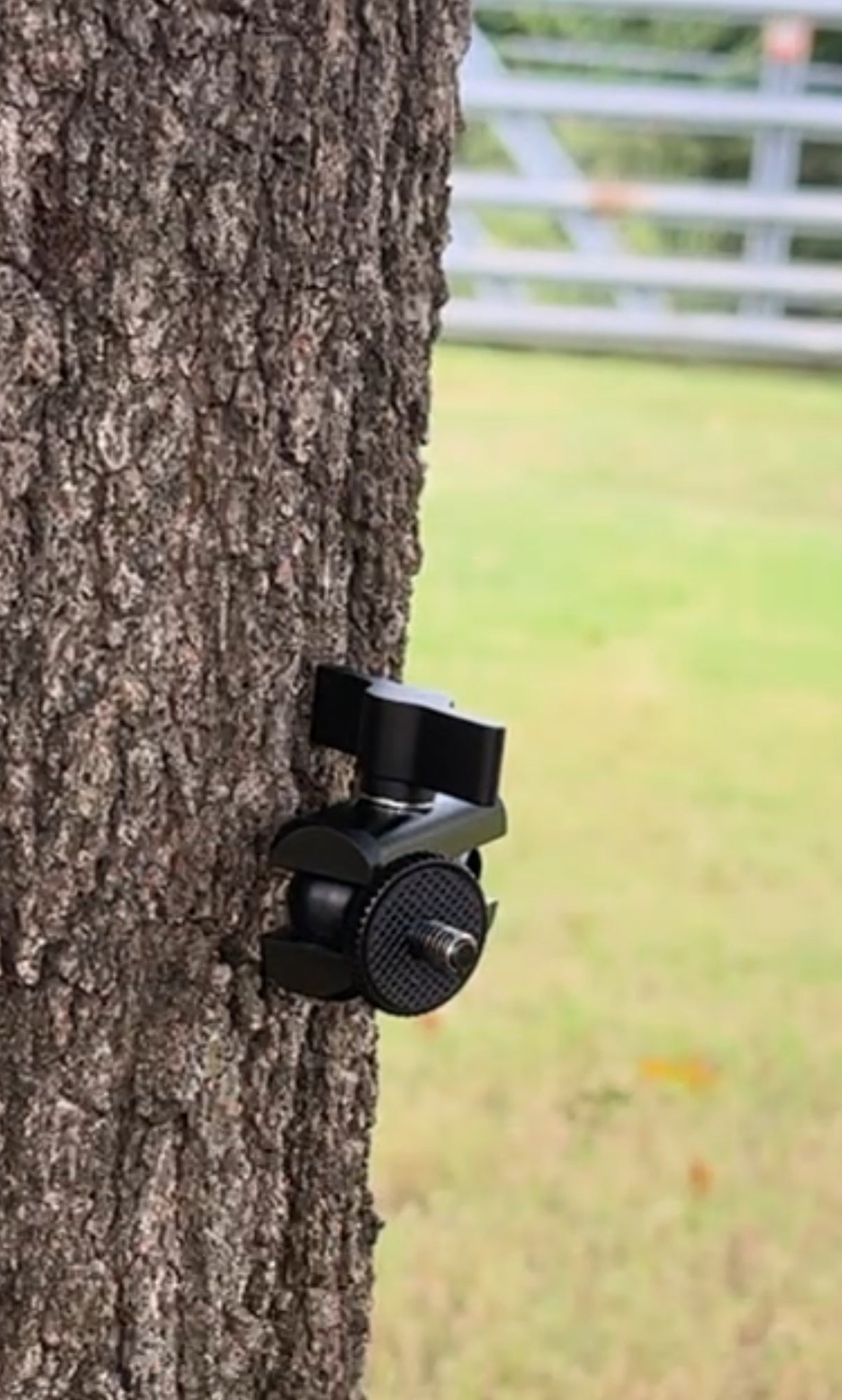 Tree Biter Pro: for Trail Cameras and Solar Panels.