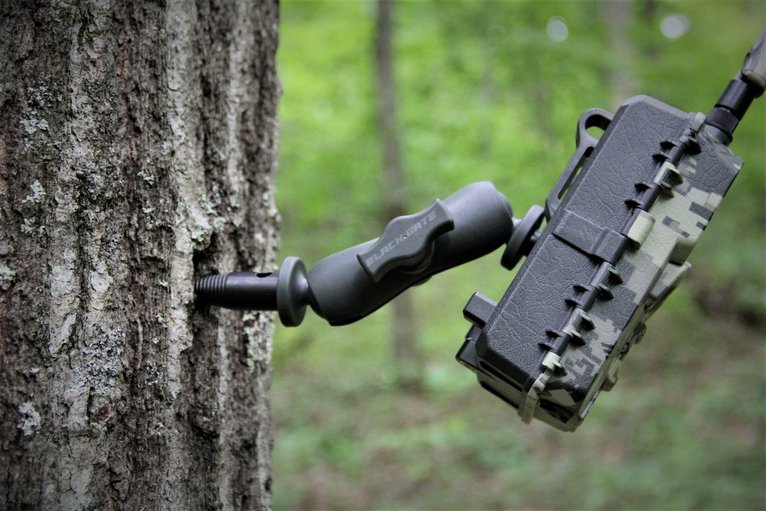 Trail Camera Tree Mount - Heavy Duty
