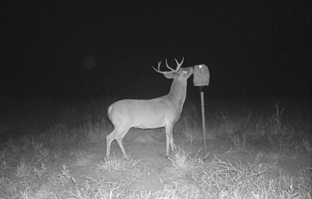 Feed Block Mount T-Post