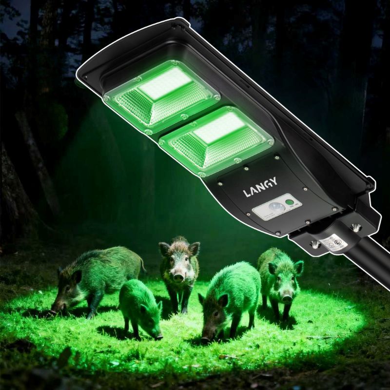 Langy Solar Green Feeder Light for Hog & Night Hunting | Langy Solar Lights | Outdoor Hunting