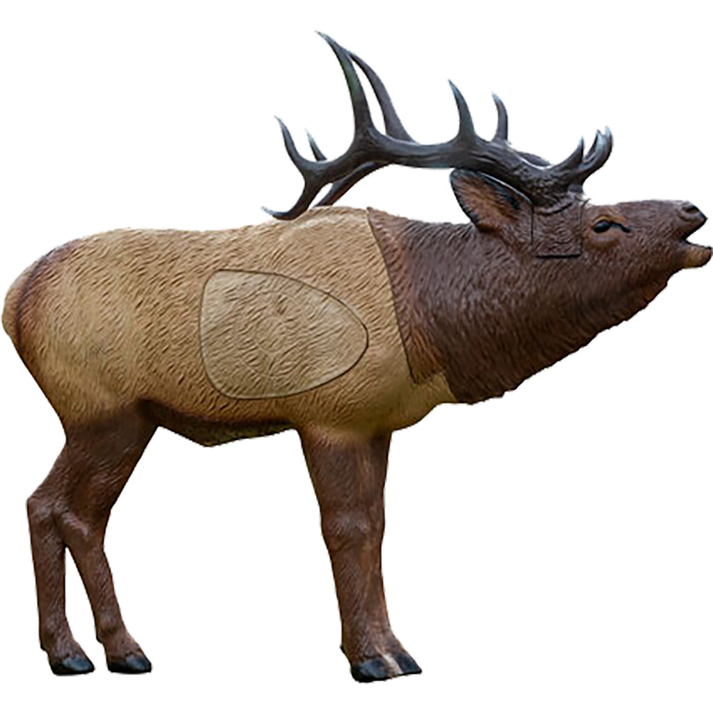 Rinehart 1/3 Scale Elk Target | Rinehart