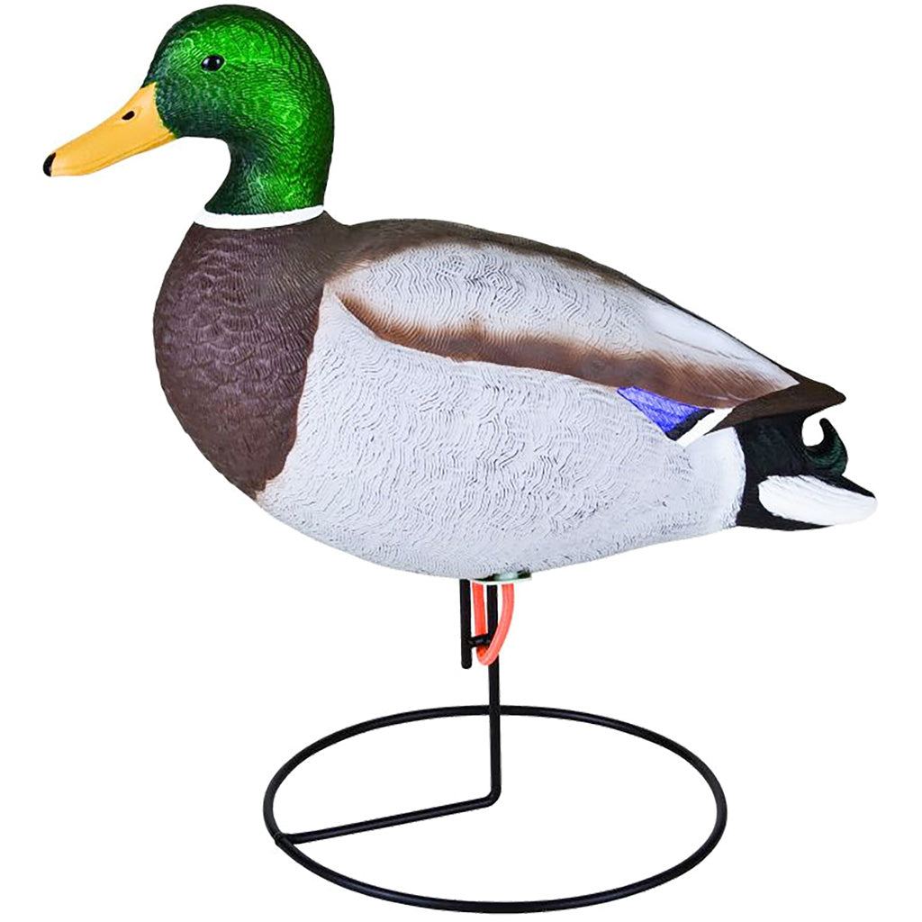 Flambeau Field Mallard Decoy 6 pk. | Flambeau