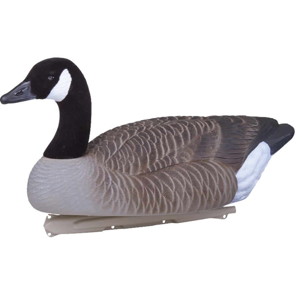 Flambeau Water Pack Canada Goose Decoy 4 pk. | Flambeau