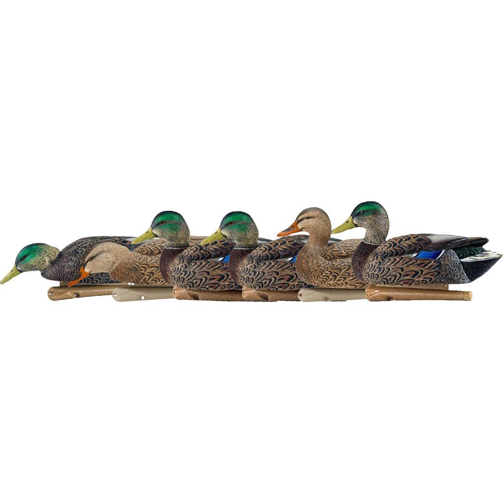 Avian X Top Flight Duck Decoys Early Season Mallards 6 pk. | Avian-X