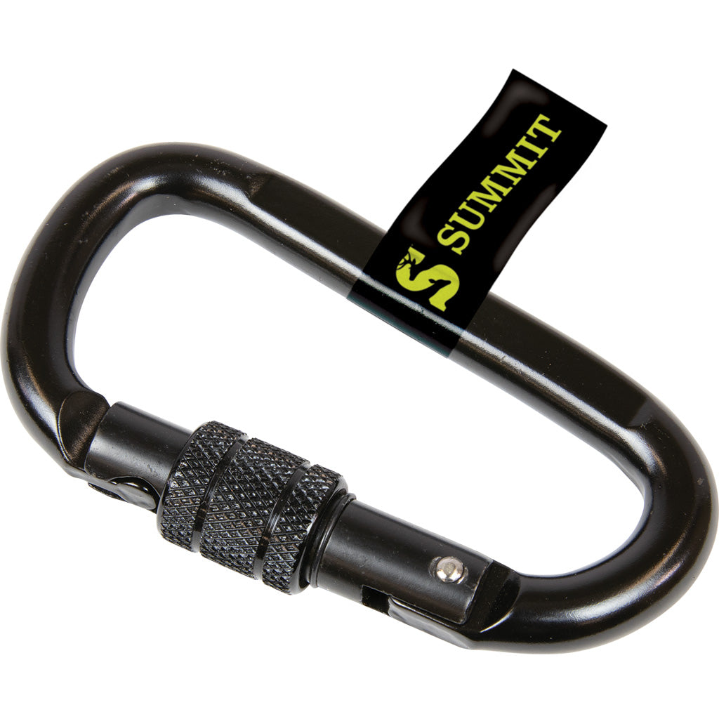 Summit Locking Carabiner 1 pk. | Summit