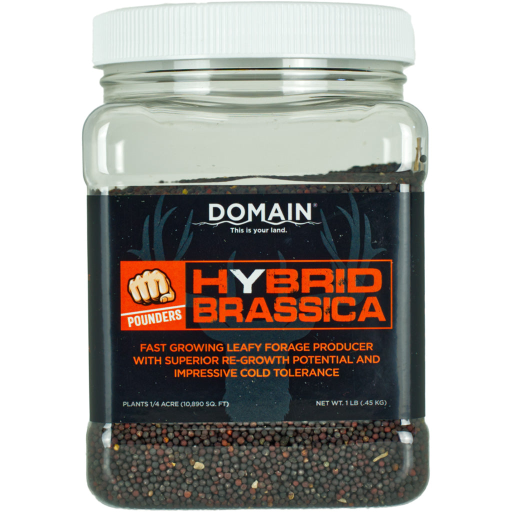 Domain Hybrid Brassica Pounder Seed 1/4 Acre | Domain