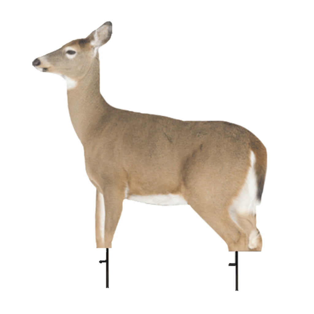 Montana Decoy Whitetail Dreamy Doe Decoy | Montana Decoy