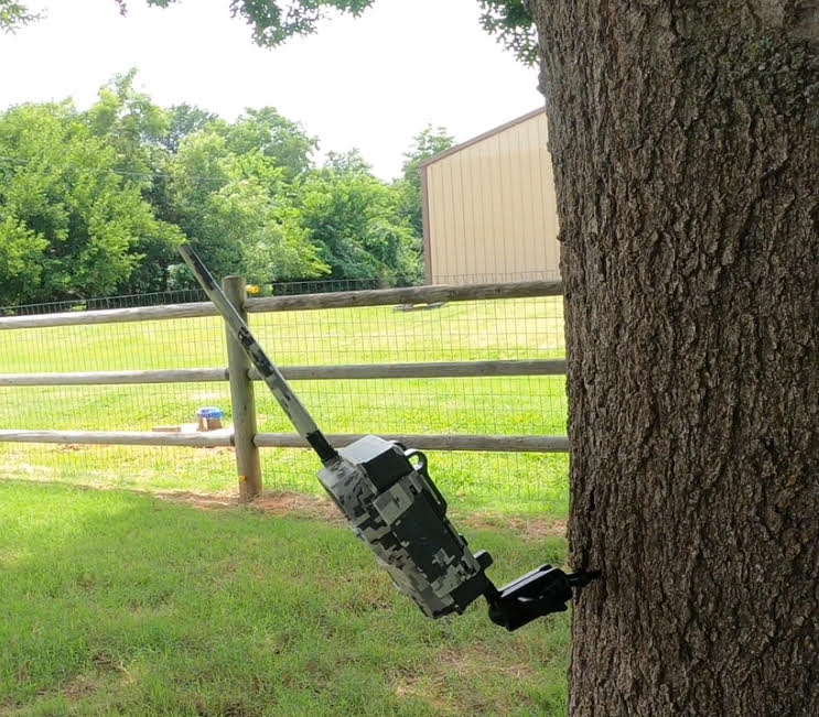 Trail Camera Tree Mount