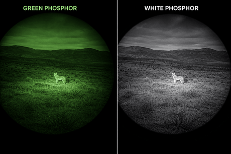 Thermal vs Night Vision for Hunting: Which One Do You Actually Need? - ShopThermalOptics