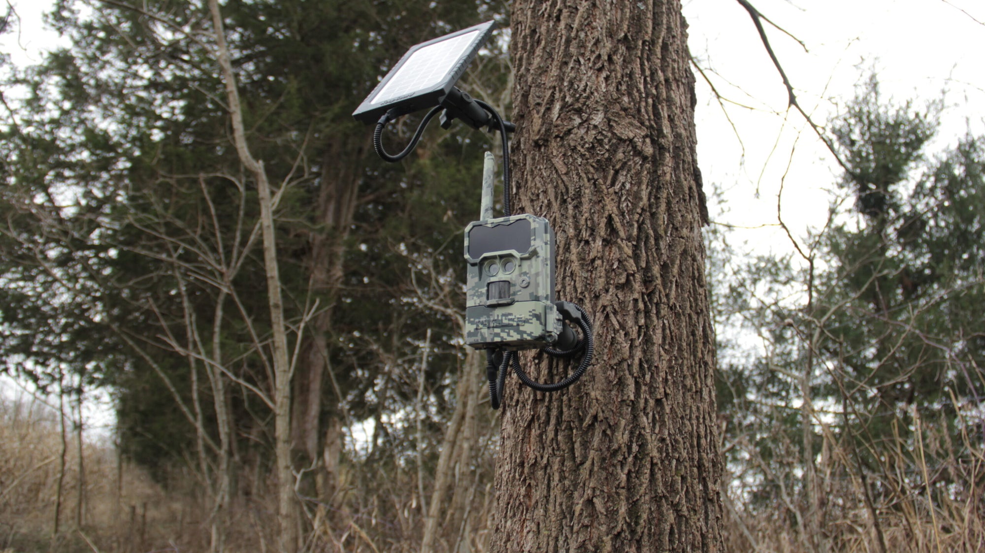 Trail Cameras and Trail Camera Mounts