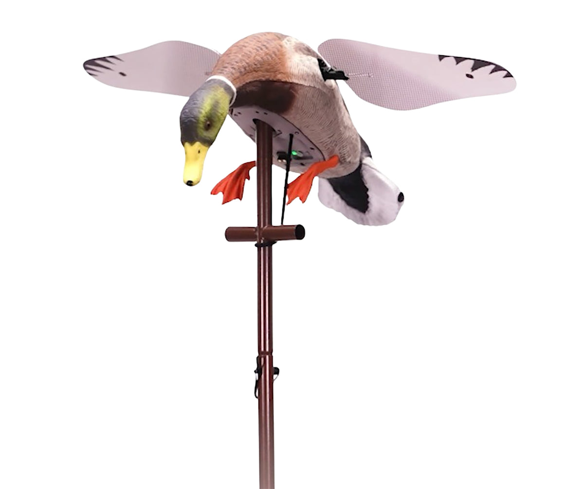 Higdon Outdoors 55054 Flasher Pro Mallard Drake Species Multi-Color Includes Remote