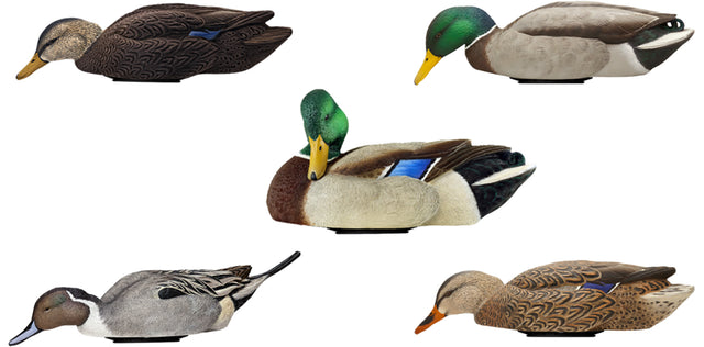 Avian X AVX-PSW-MDLH Power Swimmer Mallards Multi-Color