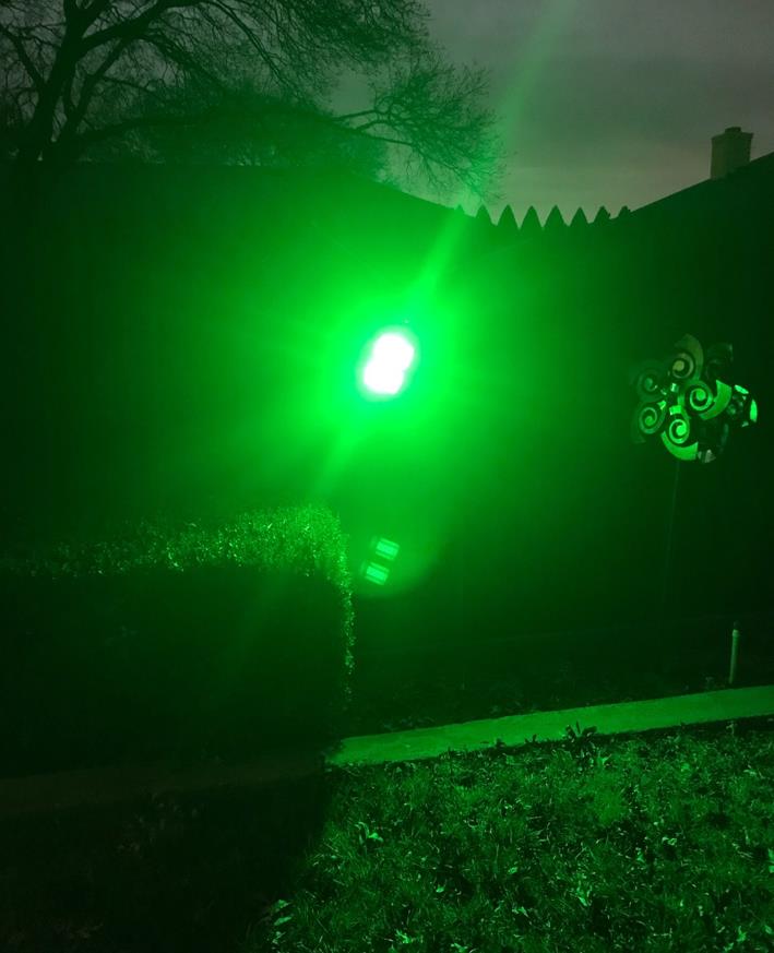 Langy Solar Green Feeder Light 180 LED — Hog & Fish Light | Langy Solar Lights | Outdoor Hunting