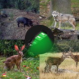 Langy Solar Green Feeder Light for Hog & Night Hunting | Langy Solar Lights | Outdoor Hunting