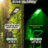 Langy Solar Green Feeder Light 180 LED — Hog & Fish Light | Langy Solar Lights | Outdoor Hunting