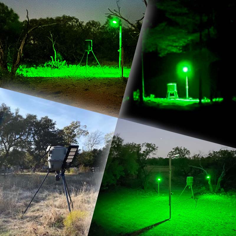 Langy Solar Green Feeder Light for Hog & Night Hunting | Langy Solar Lights | Outdoor Hunting