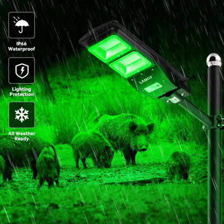 Langy Solar Green Feeder Light for Hog & Night Hunting | Langy Solar Lights | Outdoor Hunting