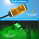 Langy Solar Green Feeder Light for Hog & Night Hunting | Langy Solar Lights | Outdoor Hunting