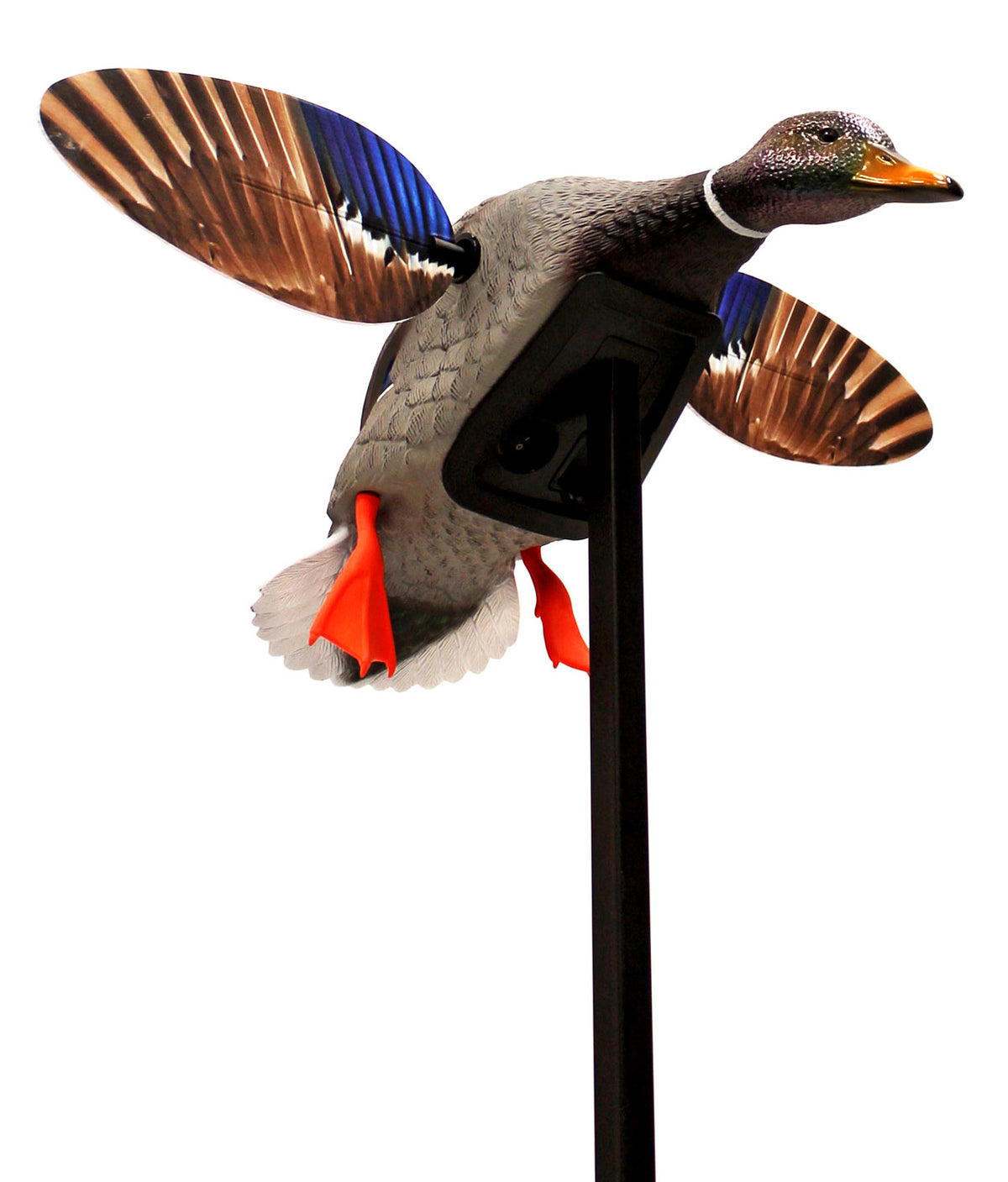 Mojo Outdoors HW24703P Elite Series Mini Mallard Drake Species Multi Color Plastic | MOJO
