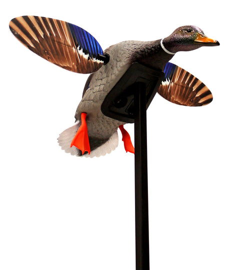 Mojo Outdoors HW24703P Elite Series Mini Mallard Drake Species Multi Color Plastic | MOJO
