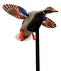 Mojo Outdoors HW24703P Elite Series Mini Mallard Drake Species Multi Color Plastic | MOJO