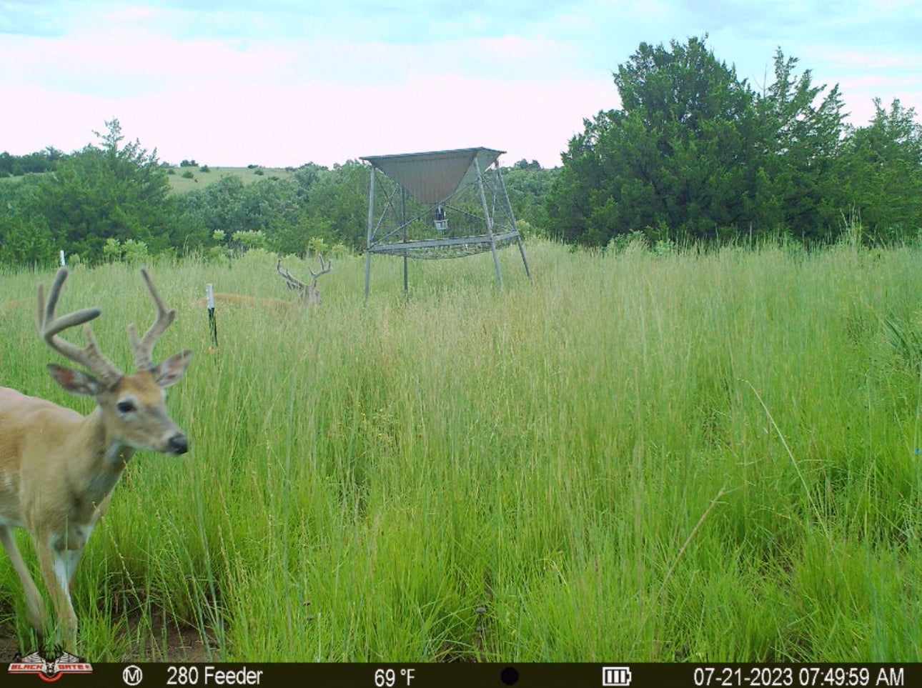 Blackgate Trail Camera R4G - Gen 2 (Photo & Video)