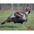 DuraMesh Archery Target Turkey 25 in. x 32 in. | DuraMesh