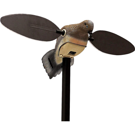 Mojo Elite Series Dove Decoy | Mojo Outdoors
