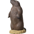Rinehart Signature Groundhog Target | Rinehart