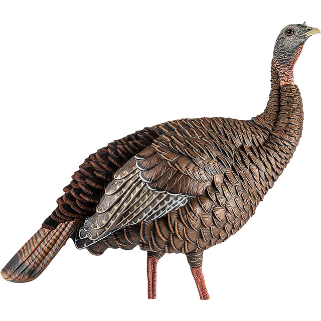 Avian X HDR Hen Decoy | Avian-X
