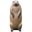 Big Shot Pro Hunter Groundhog Target | BIGshot