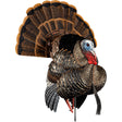 Avian X HDR Strutter Decoy | Avian-X