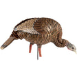 Avian X HDR Feeding Hen Decoy | Avian-X