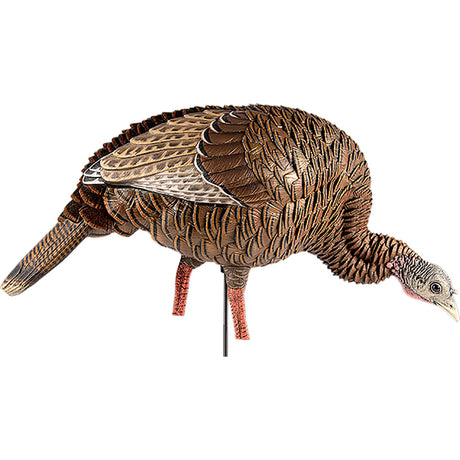 Avian X HDR Feeding Hen Decoy | Avian-X