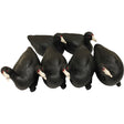 MOJO Coot Confidence Decoys 6 pk. | Mojo Outdoors