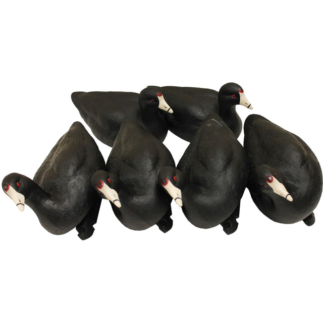 MOJO Coot Confidence Decoys 6 pk. | Mojo Outdoors