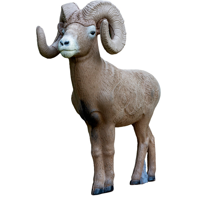 Rinehart 1/2 Scale Signature Bighorn Sheep Target | Rinehart