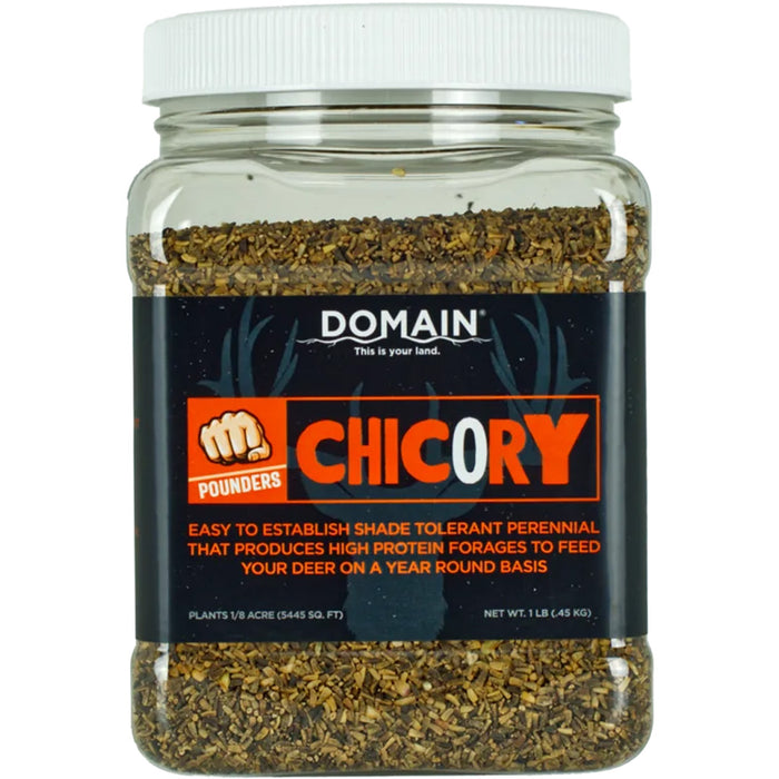 Domain Chicory Pounder Seed 1/8 Acre | Domain