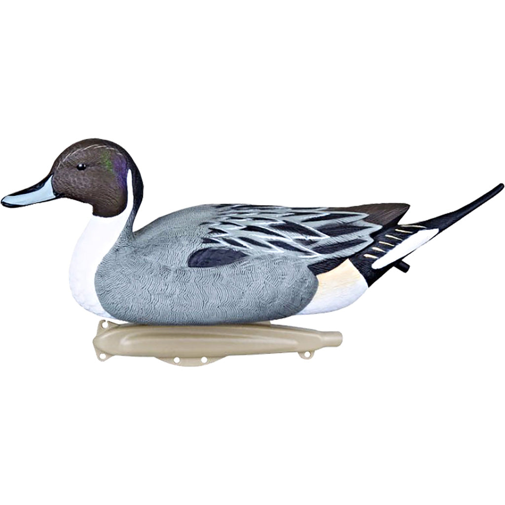 Flambeau Classic Pintail Decoy 6 pk. | Flambeau