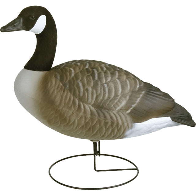 Flambeau Field Pack Canada Goose Decoy 6 pk. | Flambeau