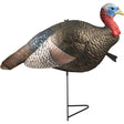 The Grind 1/2 Strut Jake Turkey Decoy | The Grind