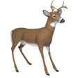 Flambeau Scrapper Buck Decoy with Carry Case | Flambeau