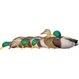 Avian X AXP Fusion Duck Decoys Mallards 6 pk. | Avian-X