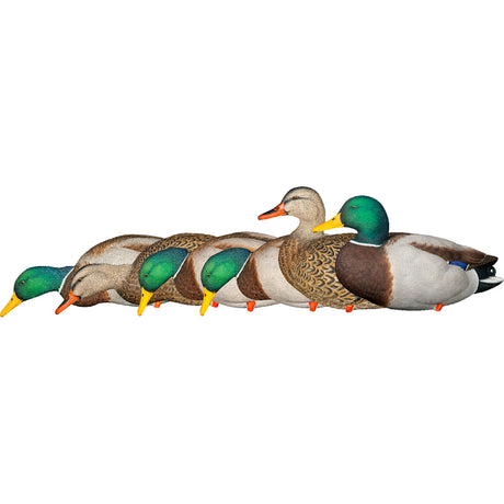 Avian X AXP Fusion Duck Decoys Mallards 6 pk. | Avian-X