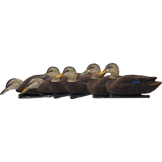Avian X Top Flight Duck Decoys Flocked Black Duck 6 pk. | Avian-X