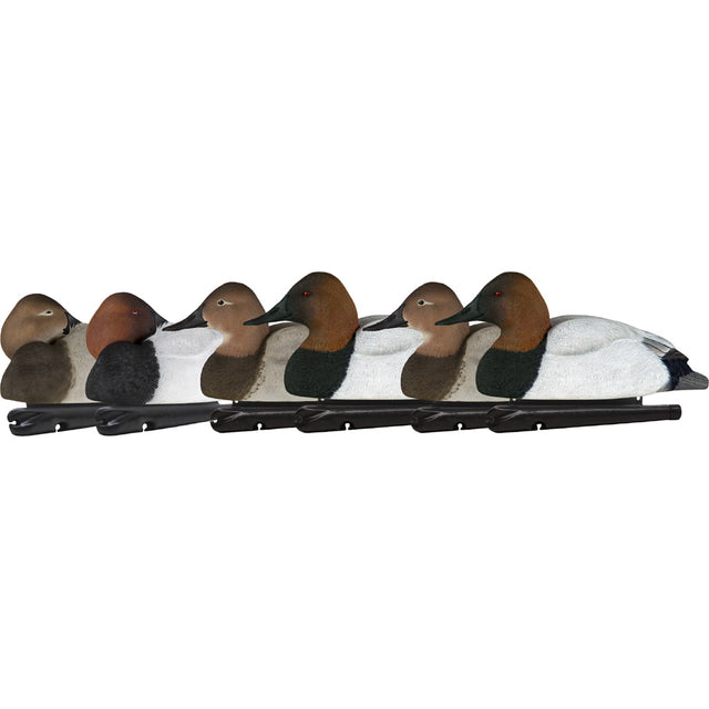 AvianX Top Flight Duck Decoys Canvasback 6 pk. | Avian-X
