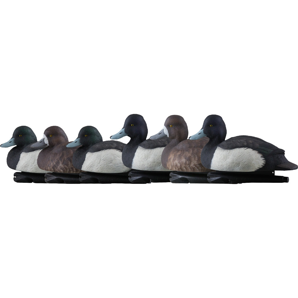 Avian X Top Flight Duck Decoys Blue Bills 6 pk. | Avian-X