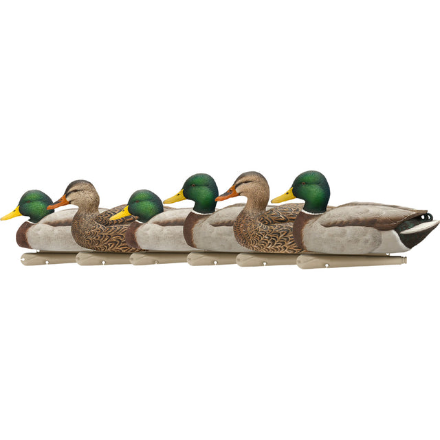 Avian X Top Flight Duck Decoys Open Water Mallard 6 pk. | Avian-X